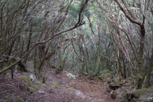 3-img_5326