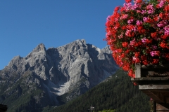 Blumen und Berge