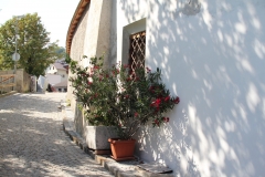 11-IMG_2198
