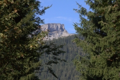 02-IMG_2272