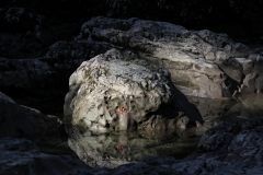 05-IMG_2281