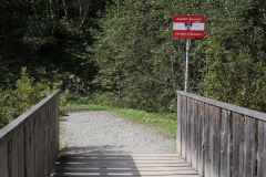 11-IMG_2632
