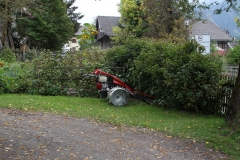 So sehen hier die (geländegängigen) Rasenmäher aus.