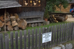 Ich habe noch nie eine so bunte Wiese gesehen.
