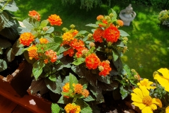 1-20190610_123143