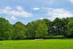 5-20190610_130700
