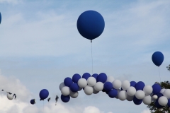 5-IMG_7334