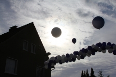 7-IMG_7347