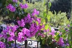 10-IMG_8962