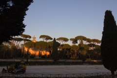 11-IMG_9459