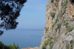 2-IMG_0634