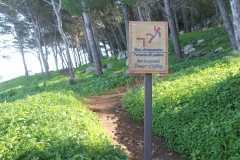 4-IMG_0692
