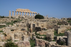 5-IMG_0873