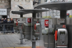06-IMG_7551