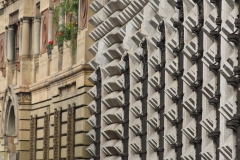 15-IMG_7790