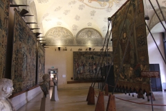 20-IMG_7856