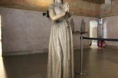 22-IMG_7882