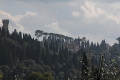 4-IMG_8186
