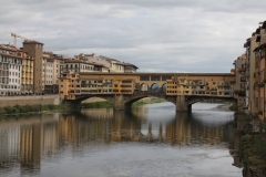 5-IMG_8631