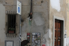 6-IMG_8635