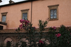 3-IMG_8741