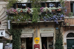 5-IMG_8769