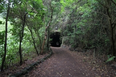 Tunnel von vorne