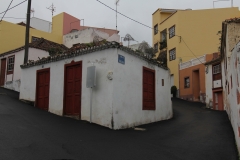 4-IMG_6217