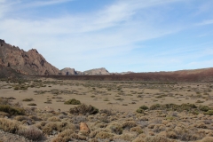 Eine Marslandschaft mit (wenigen) Pflanzen