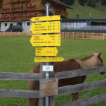 Hier lang, oder doch da lang?