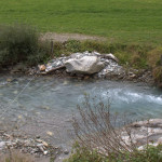Elektrozaun für fliegende Fische?